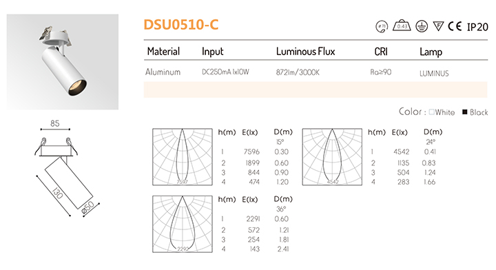 dsu051002.jpg